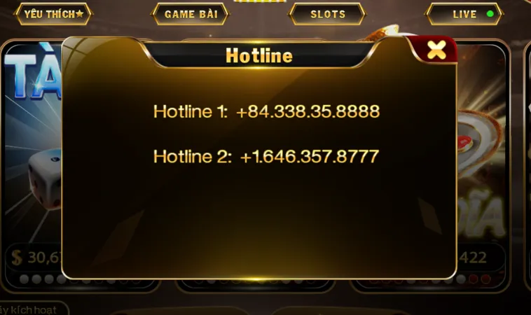 Các Hotline Hỗ Trợ Luôn Sẵn Sàng 24/7 Để Tư Vấn